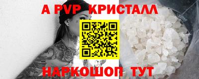 спиды Моздок
